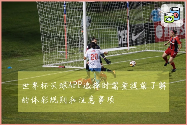 世界杯买球APP选择时需要提前了解的体彩规则和注意事项