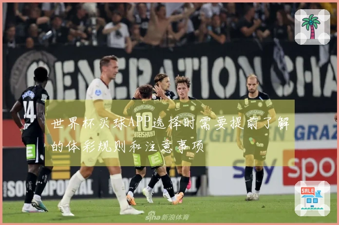 世界杯买球APP选择时需要提前了解的体彩规则和注意事项